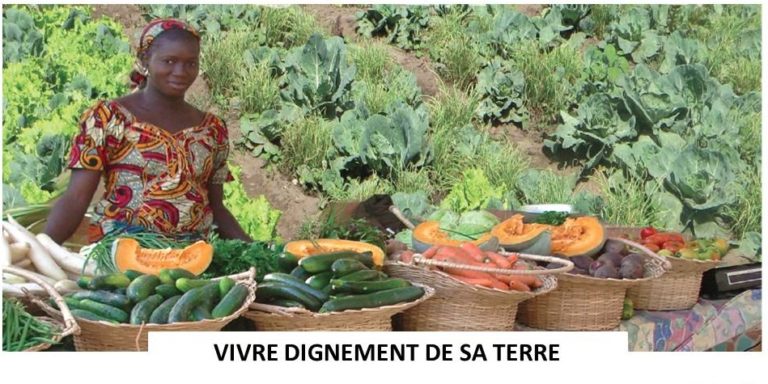 On 11 May in Paris, projection-debate: What future for small producers in Africa?