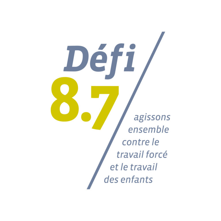 Logo du Défi 8.7