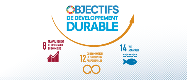 Comment contribuer aux objectifs de développement durable de l’ONU ?